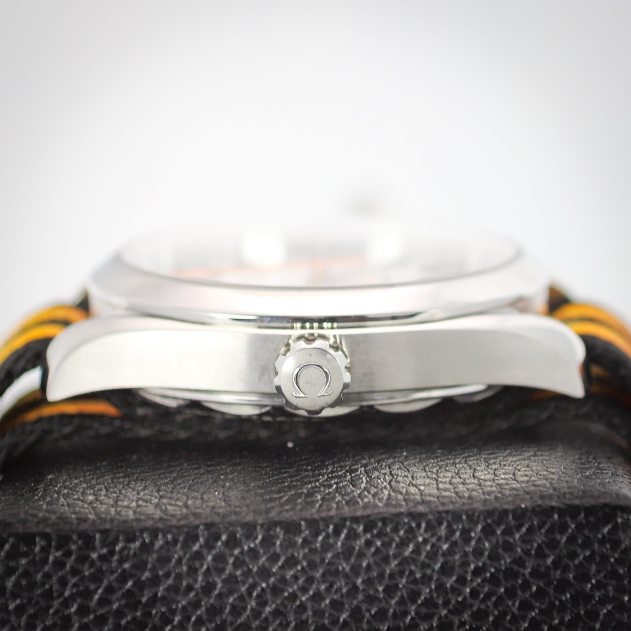 Omega Aqua Terra (Ref. 220.12.41.21.02.003) — photo 5
