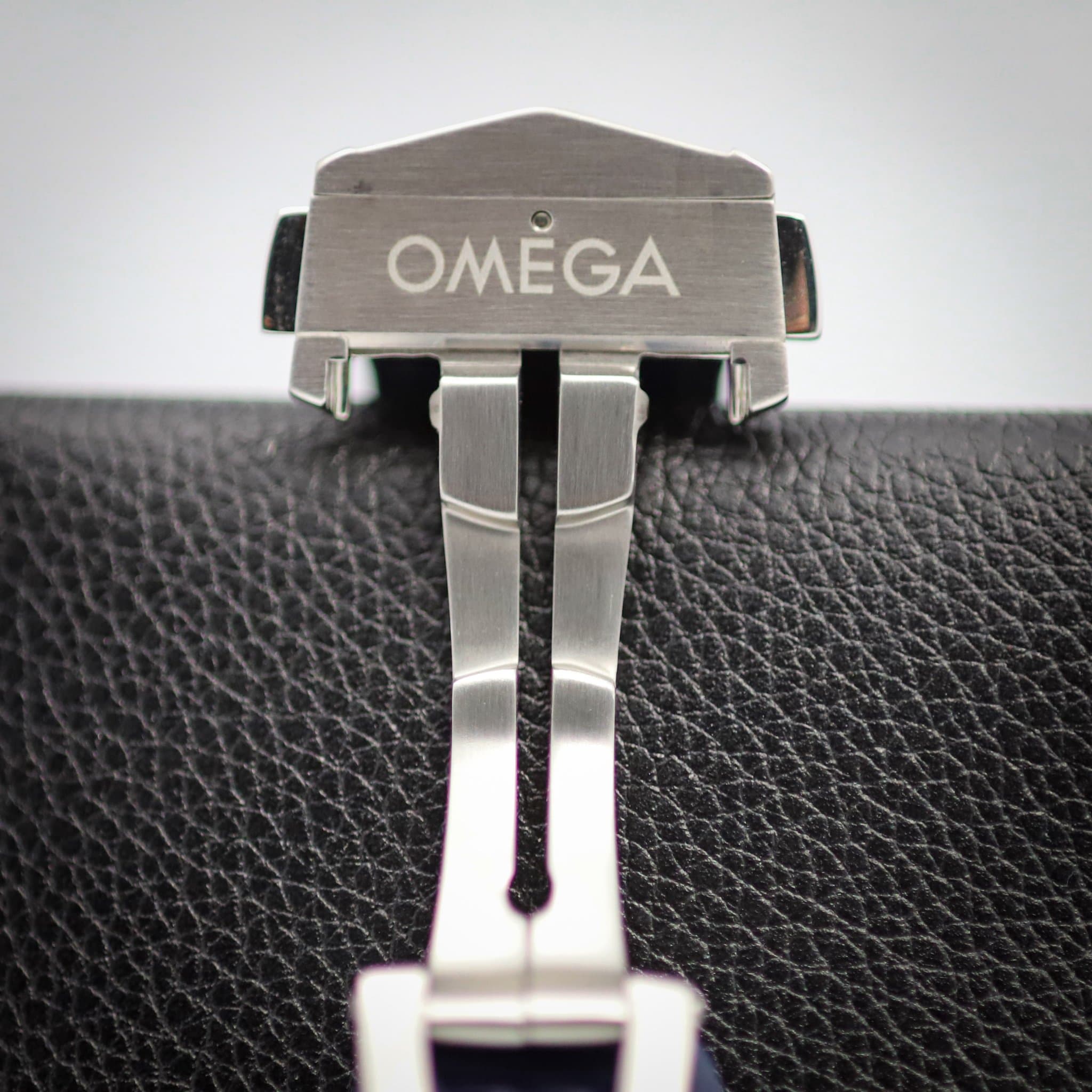 Omega Aqua Terra (Ref. 220.12.41.21.06.001) — photo 10